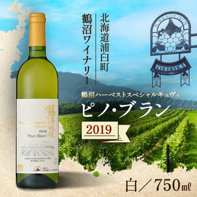 ふるさと納税 浦臼町 鶴沼収穫ワイン【スペシャルキュヴェ　ピノ・ブラン】白ワイン 2019年産