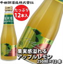 【ふるさと納税】 信州佐久　果実酒 千曲錦　果実感溢れるアップルレモン　250ml×12本セット【 酒 さけ 長野県 佐久市 】