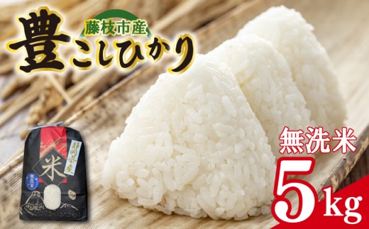 【令和７年産】お米 静岡県産 豊こしひかり 無洗米 ５㎏ 米 こしひかり コシヒカリ おこめ 贈り物 人気米 ご飯 白米 コメ おすすめ 仕送り 家庭用 主食 精米 ごはん 国産 藤枝産 贈答 静岡県 藤枝市 1万円以上 2万円以下