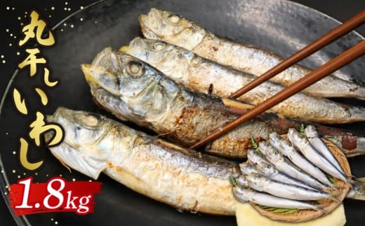 いわし丸干し 約1.8㎏ いわし 鰯 鰮 マイワシ まいわし 九十九里産 丸干し 干物 九十九里 冷凍 魚介類 無添加 魚介 海の幸 海 魚 贈答 ギフト プレゼント 贈答 記念日 お祝い 送料無料 千葉県 旭 有限会社鎌倉商店 千葉県 旭市 kms003