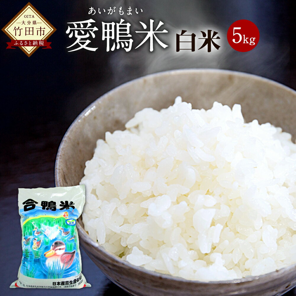 【ふるさと納税】〈令和7年産〉 愛鴨米 白米 5kg 送料無料 ナツホノカ うるち精米 祖母山 ミネラル 天然地下水 大分県産【2025年10月上旬～2026年10月上旬発送予定】