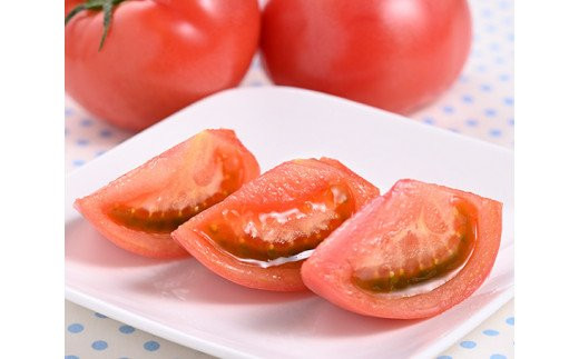 志宝トマト 約 4kg [モアショップヤマモト 石川県 宝達志水町 38601137] トマト とまと 野菜 食品 石川県産