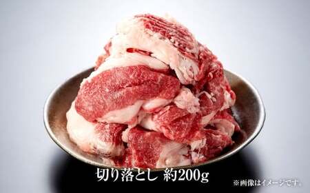 博多和牛の食べ比べセット 計450g （ 切り落とし 200g ＋ 肩ローススライス 250g ） 博多和牛 和牛 牛 お肉 ニク 肉 にく 食べ比べ セット 切り落とし 肩ロース ロース スライス 