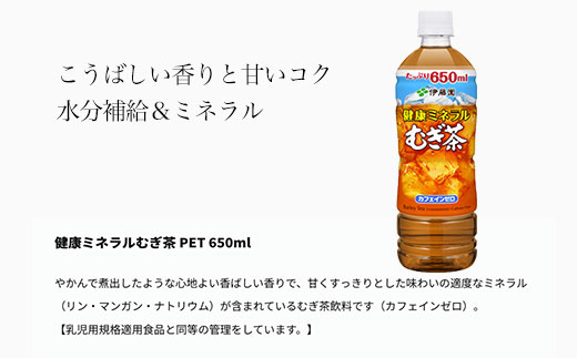 【12か月定期便】伊藤園 健康ミネラルむぎ茶 1ケース（650ml×24本） 定期便 麦茶 伊藤園 ペットボトル お茶 650ml 茶 お茶 おすすめ 常温 常温保存 TMP012