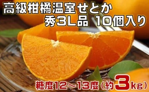 
                  高級 柑橘 温室 せとか 秀品 3L 品 10個入り 約3kg みかん 蜜柑 ミカン 果物 フルーツ 柑橘類 国産 期間限定 季節限定 数量限定 人気 旬 甘い ジューシー 完熟 ギフト プレゼント 贈答用 贈り物 お祝い お中元 お歳暮 ふるさと納税柑橘 ふるさと納税みかん 高知 黒潮町 [1201]
                