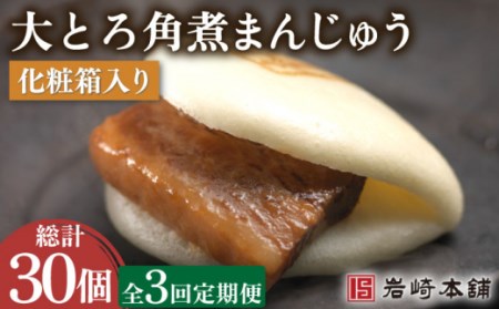 【3回定期便】大とろ角煮まんじゅう 10個 (総計30個)【株式会社岩崎食品】[OCT014] / 角煮饅頭定期便角煮饅頭定期便角煮饅頭定期便角煮饅頭定期便