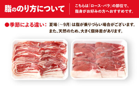猪肉 スライス 1kg 雲仙いのしし / 肉 イノシシ ジビエ いのしし 焼肉 ぼたん鍋 切り落とし / 南島原市 / 株式会社髙田牧場[SDB011]