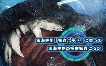 体験チケット利用券 5回分 ディープシーワールド アトラクションツアー チケット