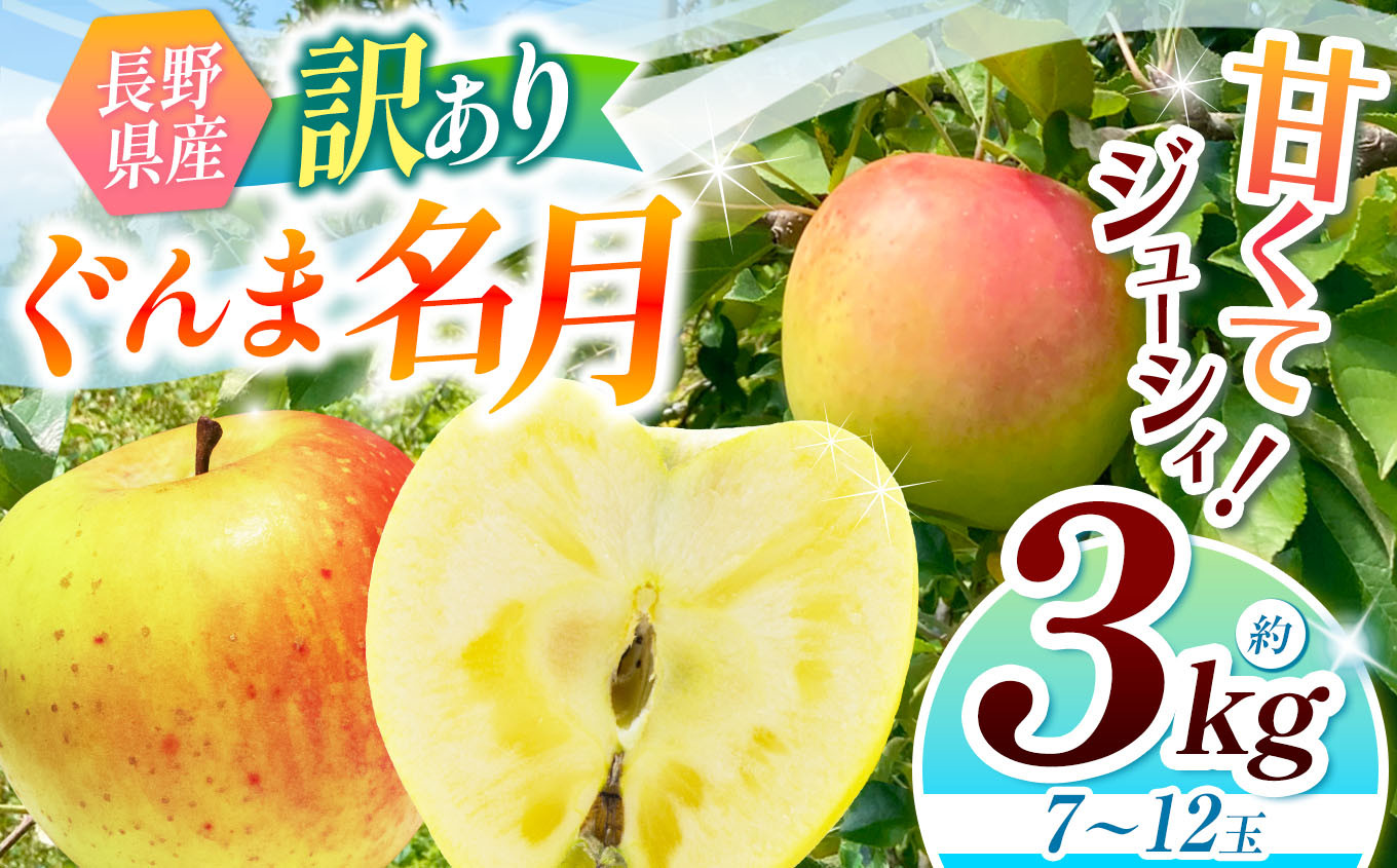 
            【2025年先行予約】浅野農園 訳あり ぐんま名月 3kg ｜ リンゴ りんご 林檎 果物 くだもの フルーツ 果実 果汁 訳あり ぐんま名月 長野県 松川村 信州 北アルプス
          
