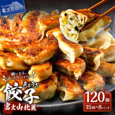 ふるさと納税 富士吉田市 こだわりつづけた無敵味!富士山北麓餃子 120個(15個×8パック)