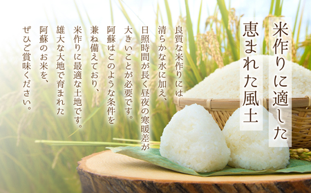 【定期便全6回】特別栽培米 ミルキークイーン5kg（アグロスタイル） 白米 米 阿蘇市