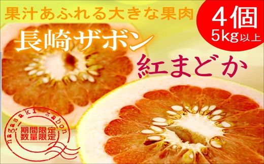 
            『期間限定』柑橘の王様！「長崎ザボン」果汁あふれる大きな果肉の紅まどか(4個入り) ( 紅まどか ザボン ざぼん 大橘 文旦 ぶんたん ブンタン ボンタン 柑橘 果物 )【B4-111】
          