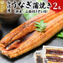 【ふるさと納税】台湾産うなぎ蒲焼きセット 2尾 (肝煮 山椒付きタレ付)