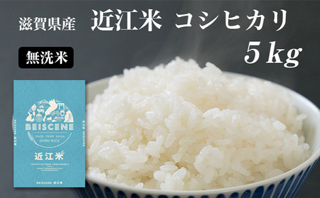 コシヒカリ お米 5kg 無洗米 令和7年産 コシヒカリ