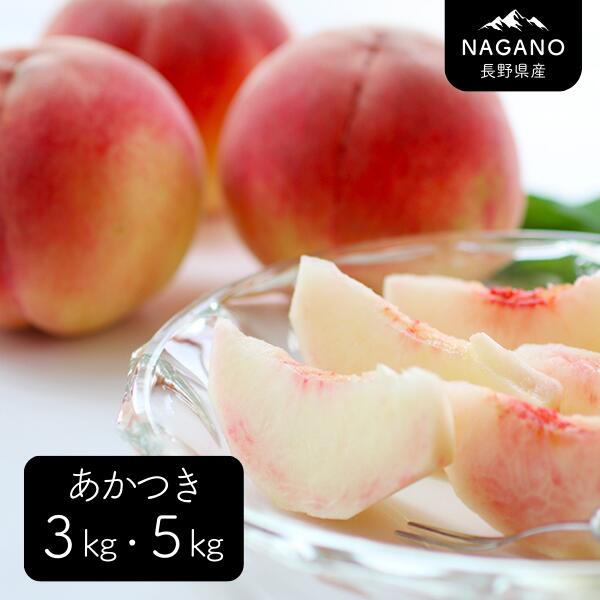 【ふるさと納税】桃 あかつき（長野県産秀品） 約3キロ・ 約5キロ ／7月中旬～8月中旬頃 配送予定 // 長野県 南信州 モモ 贈答 秀品 産地直送 もも 甘い MS26 MS27