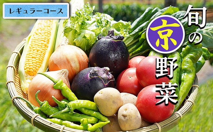 
                  野菜セット 4~6種類 旬の京野菜 レギュラーコース 詰め合わせ 季節 旬 野菜 やさい 野菜便 国産 国産野菜 新鮮 おまかせ 産地直送 春野菜 夏野菜 秋野菜 冬野菜 葉物 果菜 根菜 カット野菜 京都府産 亀岡市産 京丹波町産 季節の野菜 九条ネギ なす 唐辛子 サラダ トマト 京水菜 壬生菜 スナップエンドウ 聖護院大根 聖護院かぶら さといも つるむらさき 送料無料 京都府 亀岡市
                