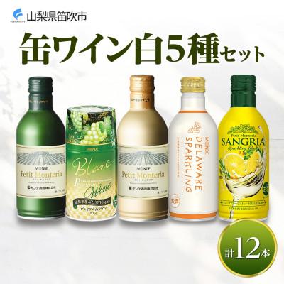 ふるさと納税 笛吹市 缶ワイン 白 5種 飲み比べ セット 12本入 モンデ酒造 山梨県 笛吹市