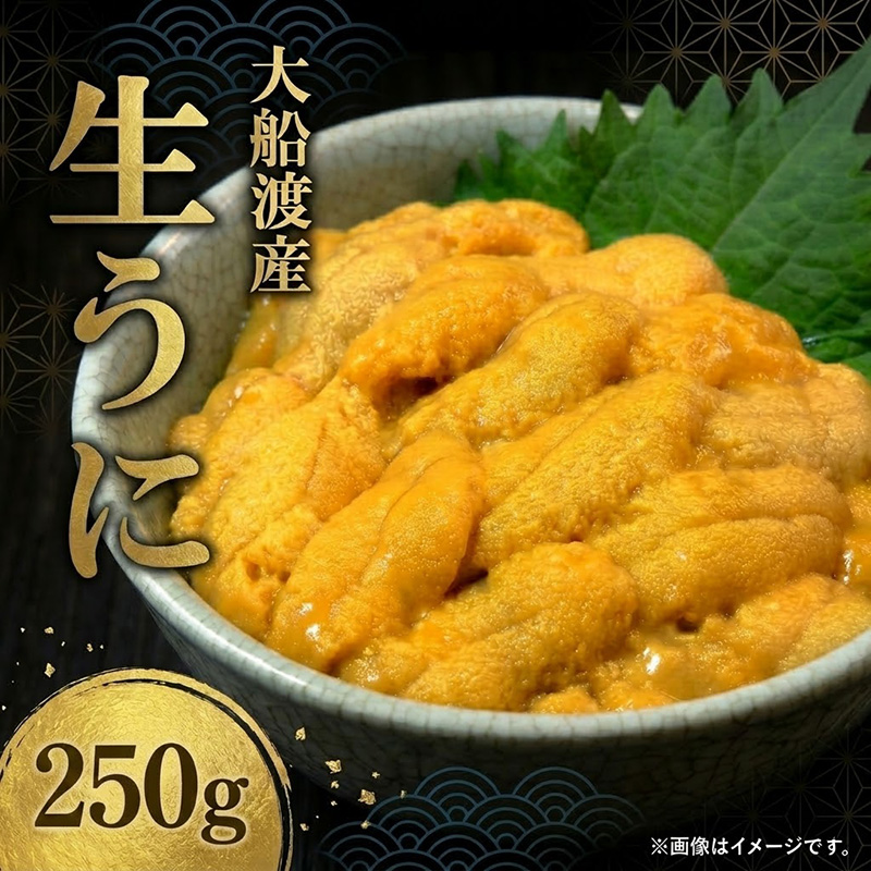 【期間限定】生うに 250g 大船渡産 ミョウバン不使用 冷蔵 うに ウニ 海鮮丼 岩手 三陸 大船渡
