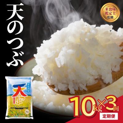 ふるさと納税 田村市 【毎月定期便】田村産 天のつぶ 10kg 米 精米全3回