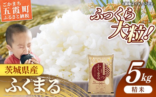 令和7年産 茨城県産 ふくまる 5kg ／ お米 精米 新米 旨味 安心 美味しい 茨城県 五霞町