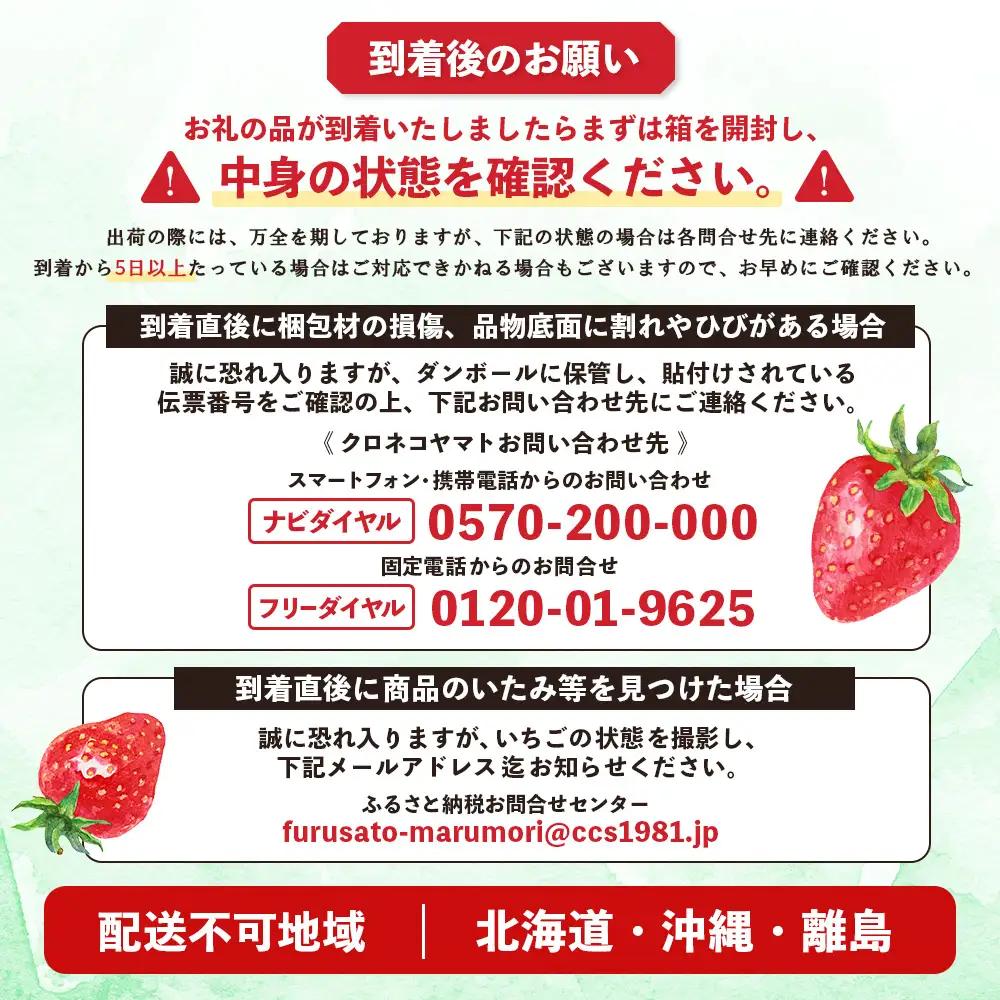 【先行受付】宮城県産いちご「にこにこベリー」約1kg（250ｇ×4）【58002】