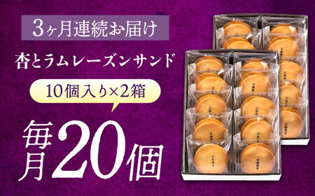 【全3回定期便】お菓子  杏とラムレーズンサンド 10個入り×2　お菓子 あんず おやつ 菓子 お茶 レーズン スイーツ 広島県福山市/有限会社勉強堂[BAFL019]