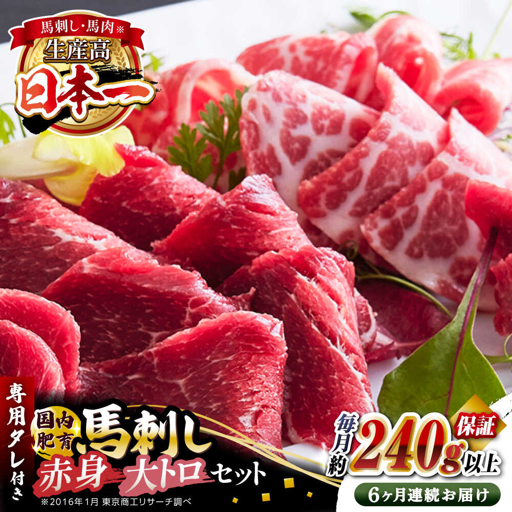 【ふるさと納税】【全6回定期便】国内肥育 馬刺し 大トロ霜降り赤身セット 約240g以上保証 ( 大トロ霜降り 赤身 ) 専用タレ付き 熊本 山都町 冷凍 馬肉 馬刺 ヘルシー 小分け【有限会社 丸重ミート】[YAK030]