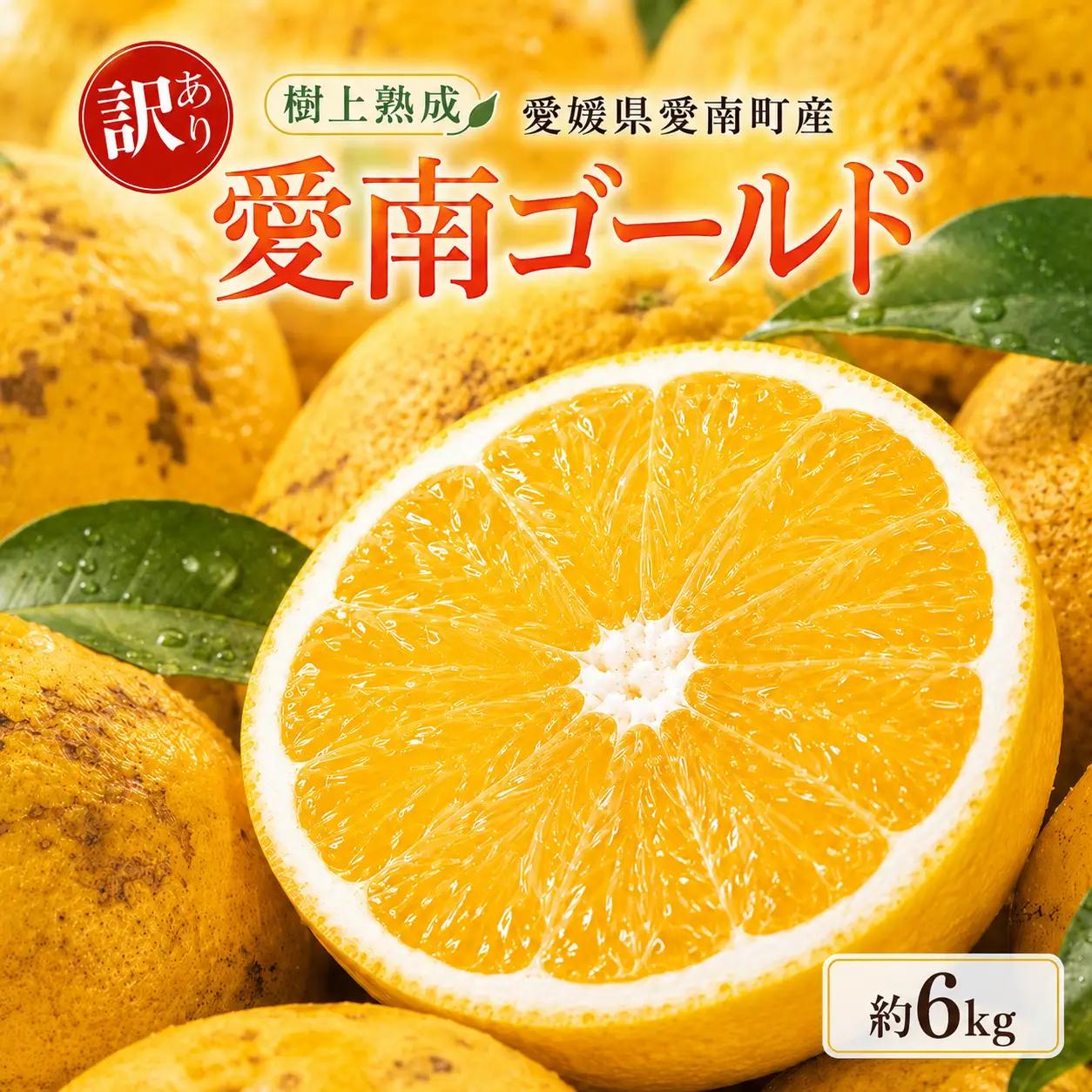 木成り 追熟 訳あり 愛南ゴールド 河内晩柑 約6kg 柑橘 フルーツ 果物 蜜柑 みかん くだもの mikan 家庭用 傷 不揃い  サイズミックス かわち ばんかん かんきつ 和製 グレープフルーツ デザート 果実 果汁 甘い ジューシー おいしい 特産品 国産 農園 直送 産地 直送 エニシトラス 愛媛県 愛南町 