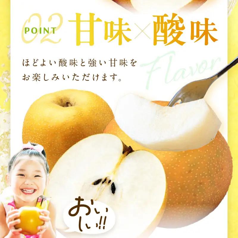 梨／あきばえ	あきばえ梨 5kg（2026年8月中旬～発送）