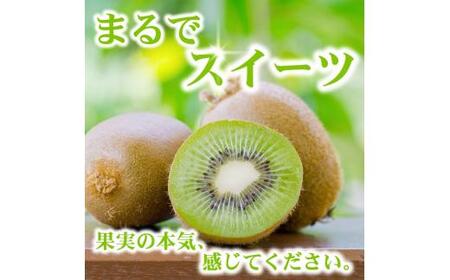 キウイ 厳選 5kg+250g（痛み補償分） / キウイフルーツ 高級 和歌山 ※2026年11月中旬～2027年4月下旬に順次発送 ※北海道・沖縄・離島への配送不可【ikd505-p-5C】