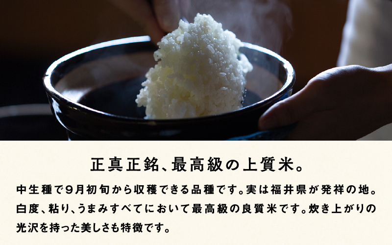 【令和7年産新米！】【2025年10月上旬以降 順次発送予定】【3ヶ月連続お届け】福井県産 おしどり米 3種類食べ比べ定期便 5kg × 3回 計15kg