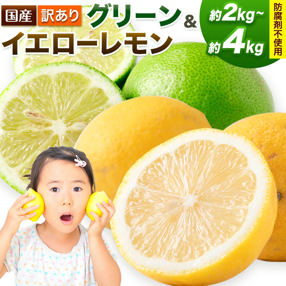 【ふるさと納税】★応援規格!★訳あり 国産レモン 選べる 約2kg 約4kg 《10月上旬-1月下旬頃出荷》産地直送 レモン 檸檬 グリーンレモン イエローレモン 防腐剤不使用