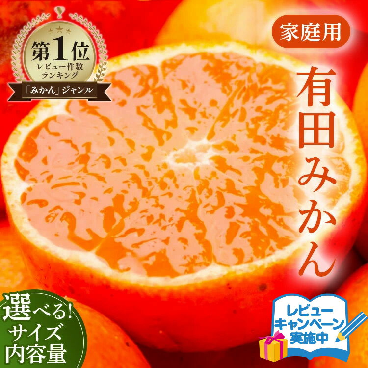 家庭用 完熟有田みかん 8kg+240g 傷み補償分