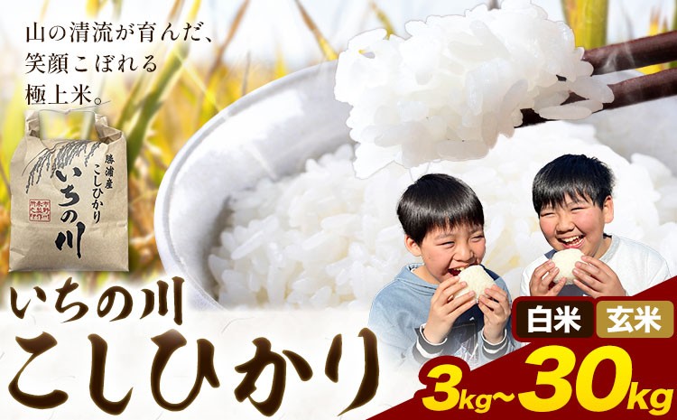
                  米 こめ コメ 令和7年産 いちの川 コシヒカリ 白米 3kg 5kg 10kg 玄米 30kg 市野川米製作所 《30日以内に出荷予定(土日祝除く)》米 ご飯 こしひかり
                