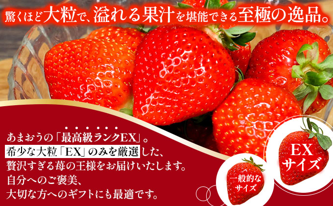 【先行予約】博多あまおうEX 2パック（約450g×2パック）【AG014】