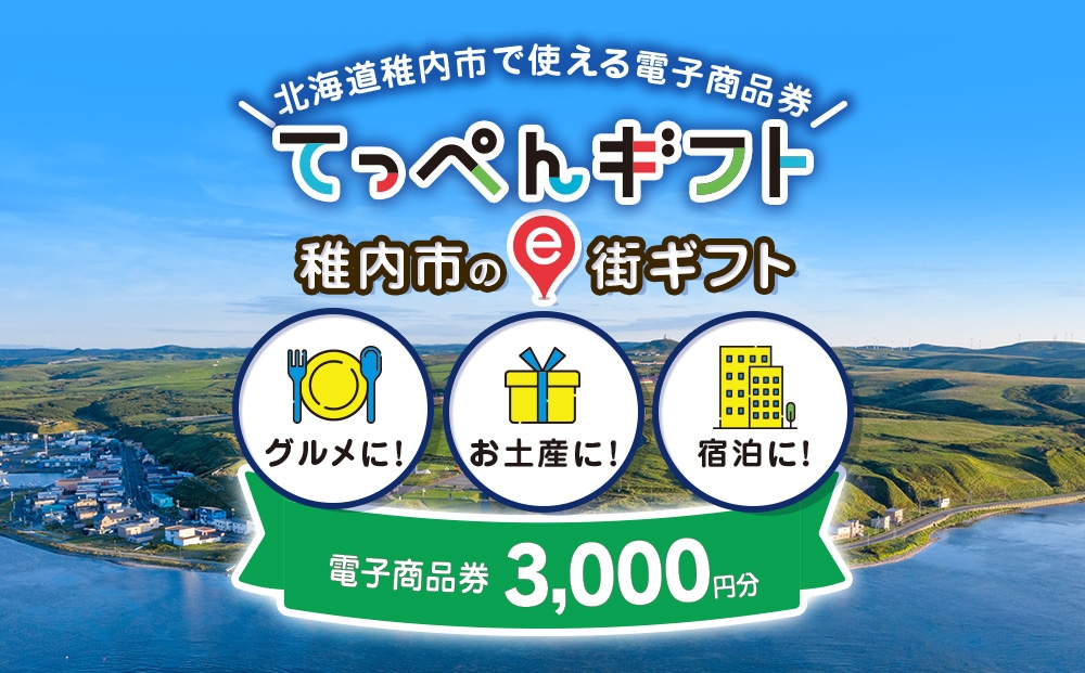 
             【ふるさと納税】稚内市e街ギフト 3,000円分
          