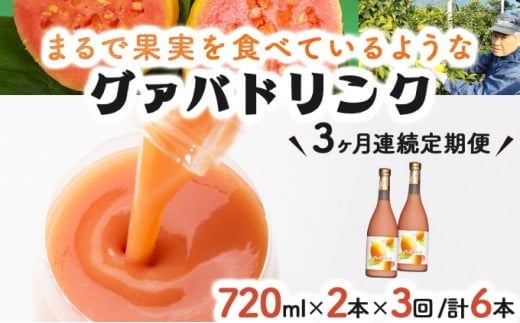 
            KU110 【定期便・全3回】まるで果実を食べているような！グァバドリンク２本セット(各720ml)×3回【宮崎果汁】
          