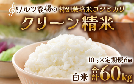 【先行予約】【令和8年産 新米】《定期便6回》ワルツ農場のコシヒカリ クリーン精米 10kg（5kg×2袋） 特別栽培米【納得の美味しさ】減農薬 有機肥料使用 / お米 ご飯 白米 発送直前 精米 つや 艶 甘味 旨み 北陸 あわら市産 福井県産 ブランド米 ※2026年11月上旬以降発送予定 [aw046-m001]