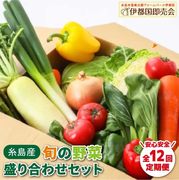 【 全12回 定期便 】 福岡県 糸島産 旬 の 野菜 盛り合わせ セット 《糸島》【株式会社フロンティア・アドバンス】[AWC009]