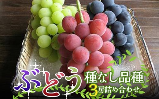 【令和6年産先行予約】 高級ぶどう 種なし品種 3房詰合せ 《令和6年9月中旬～発送》 『漆山果樹園』 山形県 南陽市 [1520]