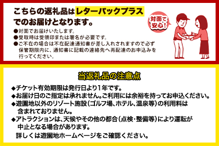 荒尾市 グリーンランド フリーパス ペア招待券 高校生以上《30日以内に出荷予定(土日祝除く)》グリーンランドリゾート株式会社 レターパック配送 対面受け取り