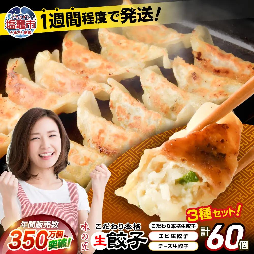 餃子 3種類 詰め合わせ 計60個（12人前）