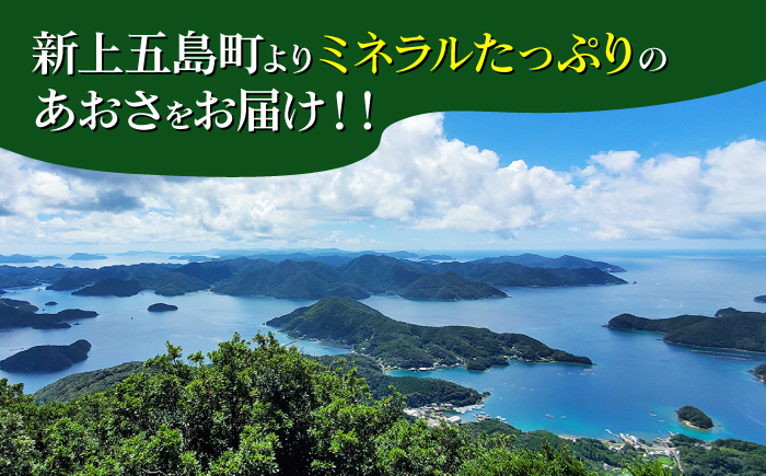 【五島列島よりお届け】冷凍 生あおさ 50g×10袋 計500g 魚介類 鮮魚 あおさ 【上五島町漁業協同組合】 [RBN007]