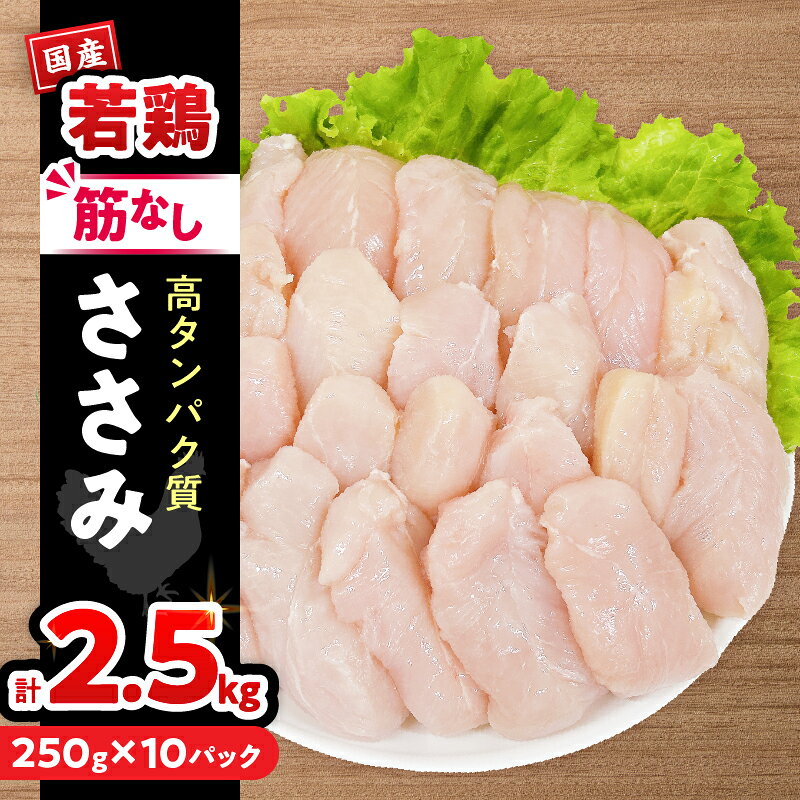 【ふるさと納税】若鶏 筋なし ささみ 計2.5kg 鶏肉 国産 チキン ササミ 小分け 便利 おかず お弁当 食品 真空パック ヘルシー 高タンパク 低カロリー 焼肉 唐揚げ サラダ グルメ お取り寄せ おすすめ ご褒美 記念日 お祝い おすそ分け 日南市 宮崎県 送料無料