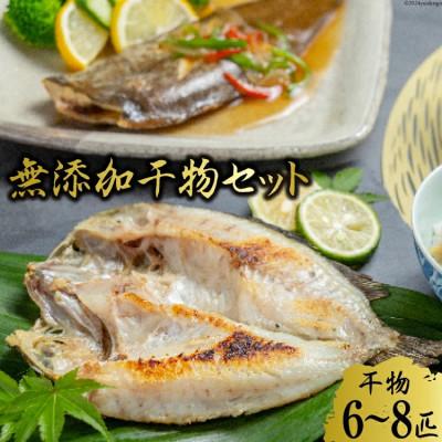 ふるさと納税 島原市 生原料にこだわった干物セット BE119