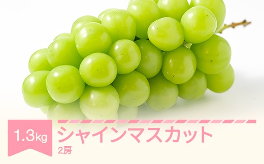 
                  シャインマスカット 秀品 2房(1.3kg以上) 令和8年産 2026年産 山形県村山市産 nb-busmx2
                