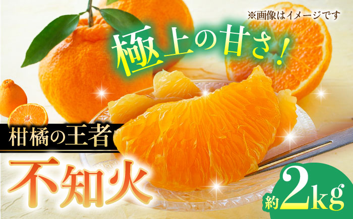 
                  【先行予約】不知火 約2kg 柑橘 蜜柑 みかん フルーツ【日本フルーツ株式会社】　  1万円以下 10000円以下 [ZFJ001]
                