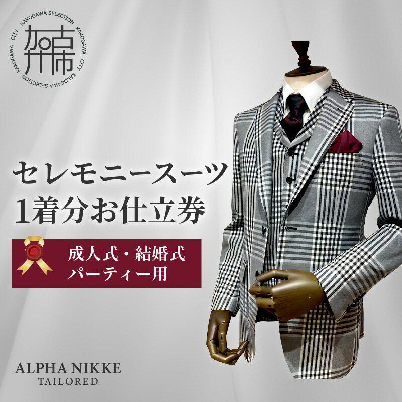 【ふるさと納税】【レビューキャンペーン】セレモニースーツ《 スーツ オーダースーツ セレモニースーツ パーティー 結婚式 プレゼント 》