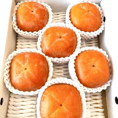 ふるさと納税 日高川町 【秋の味覚】和歌山産たねなし柿約2kg 化粧箱入り(2L〜4Lサイズ)【日高川町】 |  | 03