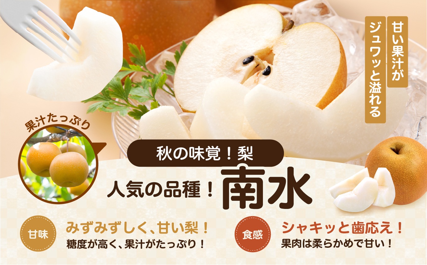 【9月上旬から発送予定】南信州生まれのジューシーで甘い梨「南水梨」 約5kg 12～14玉 糖度14.0以上 | 果物 くだもの フルーツ 南水梨 梨 なし ナシ 新鮮 長野県 信州 南信州 飯田市